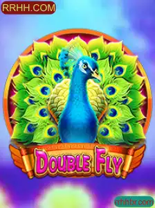 Guia Completo do Jogo DoubleFly: Regras e Dinâmica